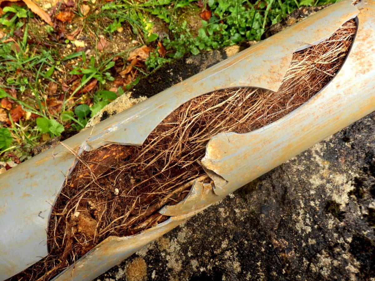 Trenchless Sewer Line