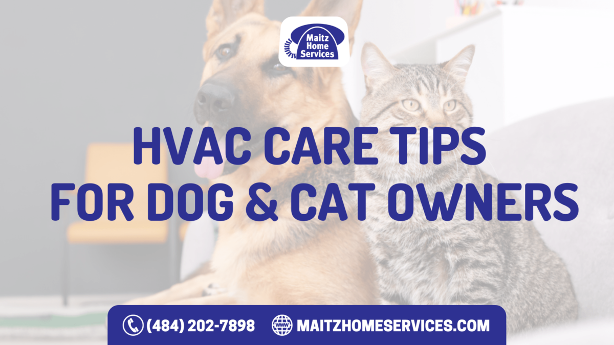 HVAC Care Tips for Dog and Cat Owners