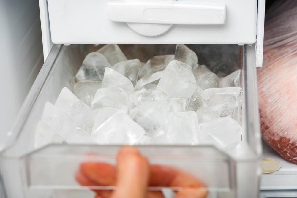 Ice Cubes in Garbage Disposal