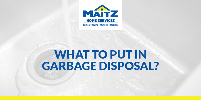 What to Put in Garbage Disposal?