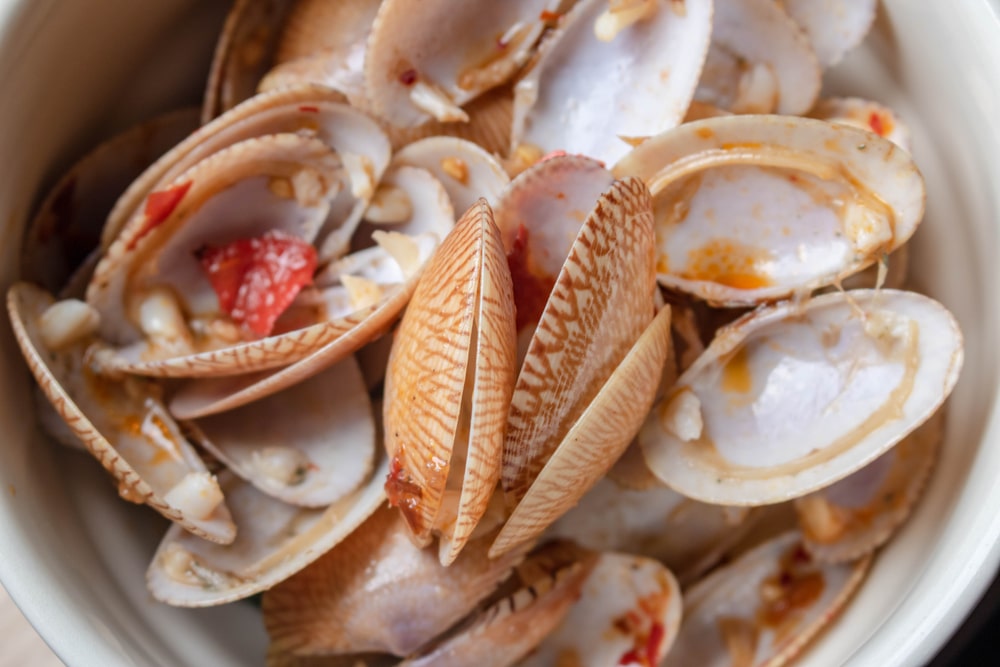 Seafood Shells